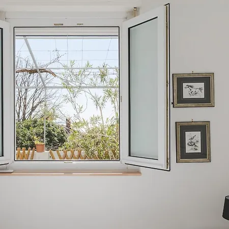 100 Mt To The Sea Lungomare Barcola * 的里雅斯特